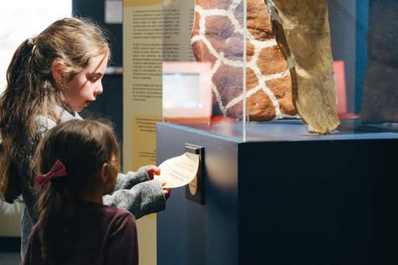 Sherbrooke : un été de découvertes au Musée de la nature et des sciences